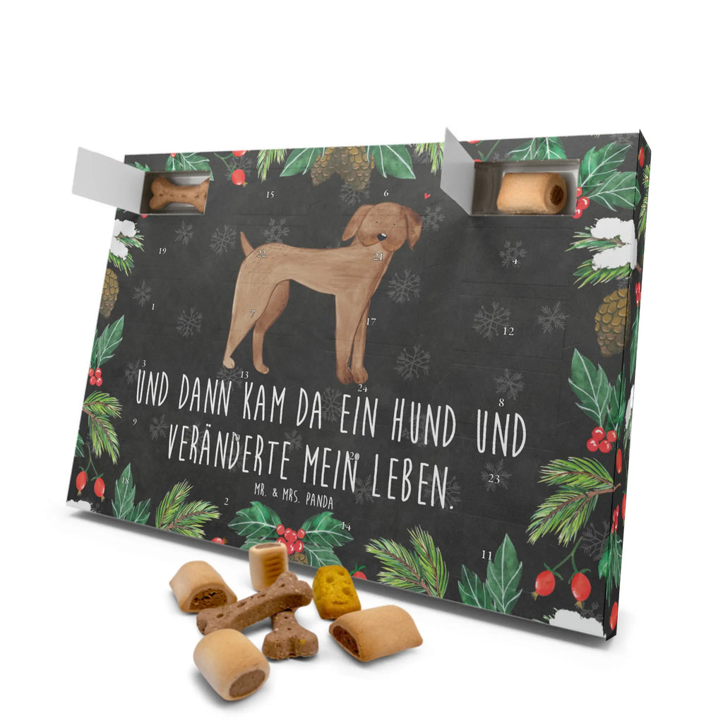 Hunde Adventskalender Hund Dogge Weihnachtskalender, Adventskalender für Hunde, Hunde Adventskalender, Kalender, Hunderasse, Tierliebhaber, Hundemotiv, Haustier, Hundebesitzer, Hund, Sprüche, Great Dane, Hunde, Deutsche Dogge, Dogge