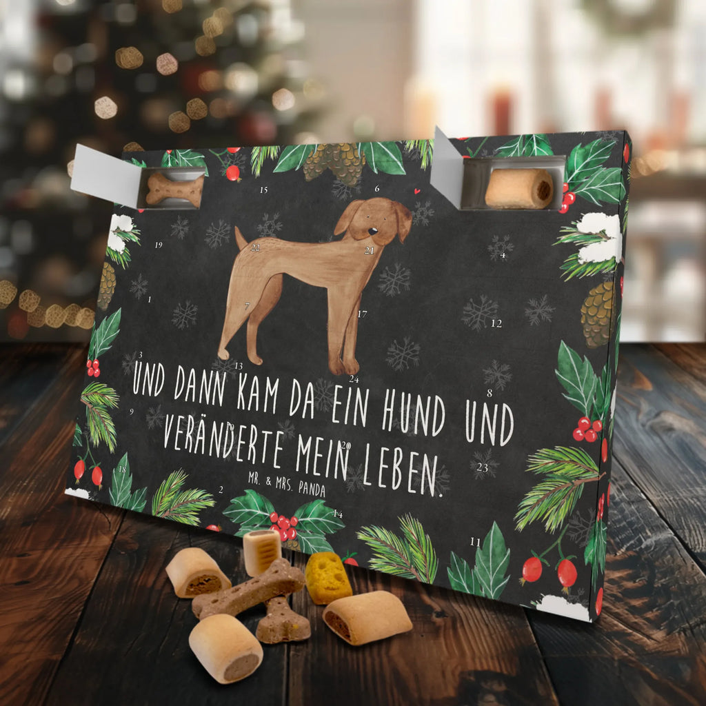 Hunde Adventskalender Hund Dogge Kalender, Hunde Adventskalender, Adventskalender für Hunde, Weihnachtskalender, Hunderasse, Hundebesitzer, Sprüche, Tierliebhaber, Hundemotiv, Haustier, Hund, Great Dane, Dogge, Deutsche Dogge, Hunde
