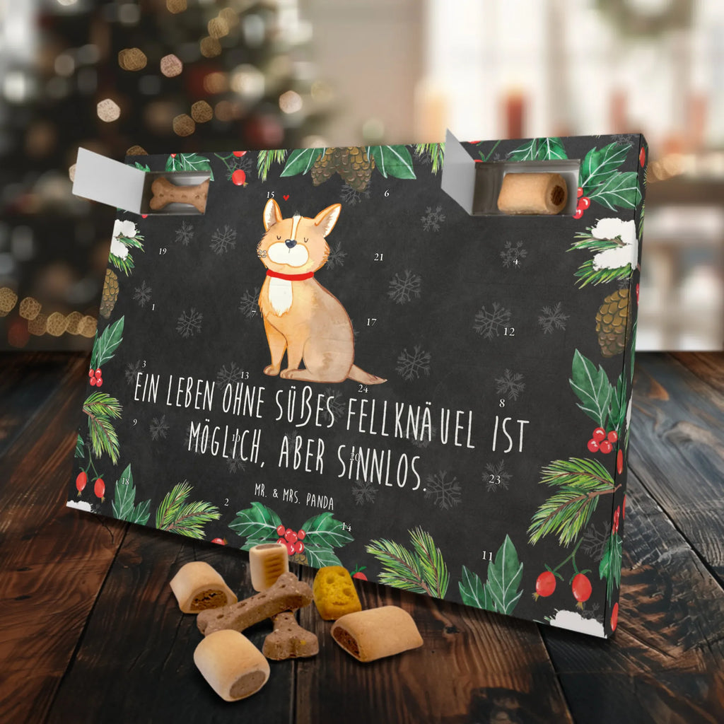 Dog advent calendar Dog Luck Pets, Dogs Advent Calendar, dog breed, hound, bag with dog print, mutt, what do you give a dog lover, dog mama, Christmas gifts for dogs, dog decorative items, funny gifts for dog owners, dog sayings, love dogs, woof, love for dogs, gifts for dogs, dog owner, dog mom, dog love