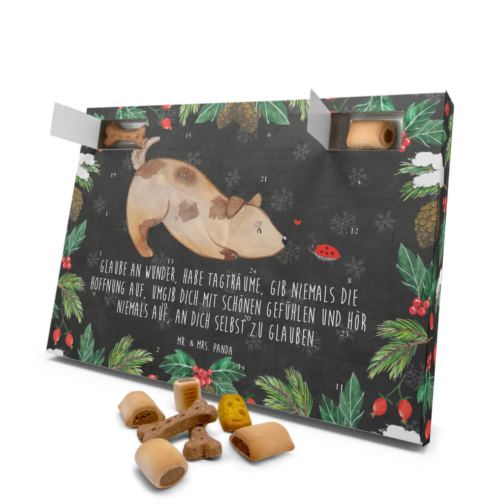 Hunde Adventskalender Hund Marienkäfer Weihnachtskalender, Hunde Adventskalender, Kalender, Adventskalender für Hunde, Hunderasse, Hundebesitzer, Sprüche, Tierliebhaber, Hundemotiv, Haustier, Hund, Mischling, Marienkäfer, Hunde, Hundespruch, Mischlinghund