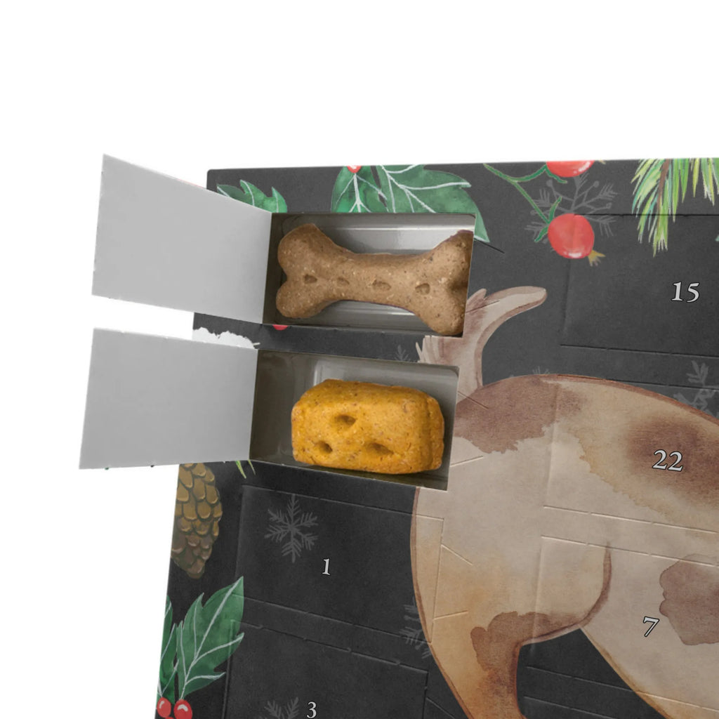Hunde Adventskalender Hund Marienkäfer Weihnachtskalender, Hunde Adventskalender, Kalender, Adventskalender für Hunde, Hunderasse, Hundebesitzer, Sprüche, Tierliebhaber, Hundemotiv, Haustier, Hund, Mischling, Marienkäfer, Hunde, Hundespruch, Mischlinghund