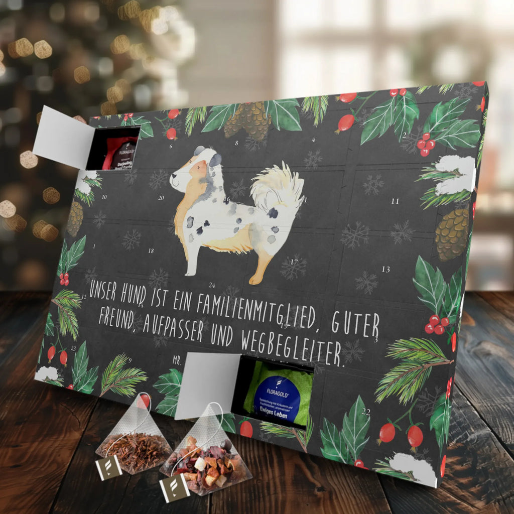 Tee Adventskalender Hund Australien Shepherd Adventskalender, Tee Adventskalender, Adventskalender mit Tee, Hunderasse, Tierliebhaber, Hundemotiv, Haustier, Hundebesitzer, Hund, Sprüche, Shepherd, Spruch, Familienhund, Australien Shepherd, Hundeliebe