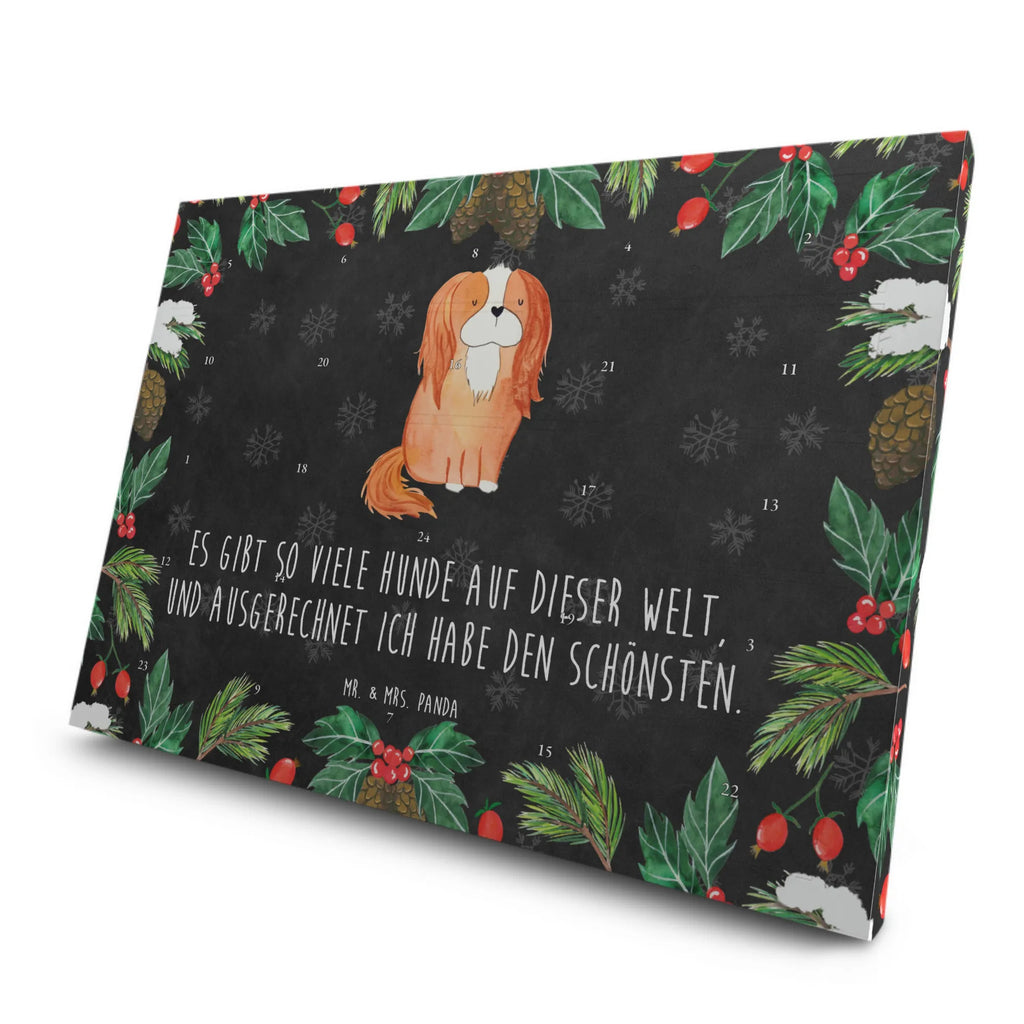 Tee Adventskalender Hund Cavalier King Charles Spaniel Adventskalender, Tee Adventskalender, Adventskalender mit Tee, Hunderasse, Tierliebhaber, Hundemotiv, Haustier, Hundebesitzer, Hund, Sprüche, Spruch, Spaniel, Cockerspaniel, Cavalier King Charles Spaniel, Schönster Hund