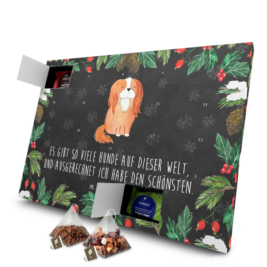 Tee Adventskalender Hund Cavalier King Charles Spaniel Adventskalender, Tee Adventskalender, Adventskalender mit Tee, Hunderasse, Tierliebhaber, Hundemotiv, Haustier, Hundebesitzer, Hund, Sprüche, Spruch, Spaniel, Cockerspaniel, Cavalier King Charles Spaniel, Schönster Hund