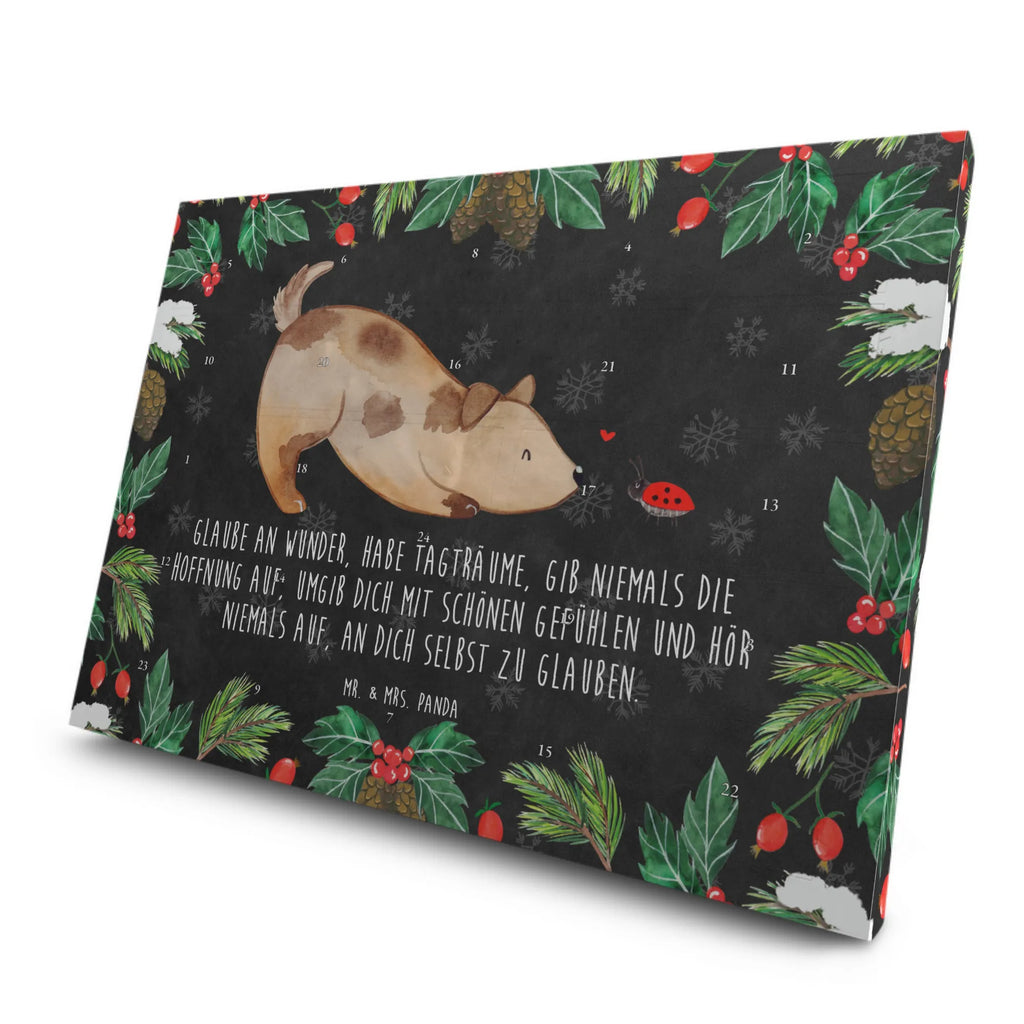  Dog ladybug dog breed, hound, bag with dog print, mutt, what do you give a dog lover, dog mama, Christmas gifts for dogs, dog decorative items, funny gifts for dog owners, dog sayings, love dogs, woof, love for dogs, gifts for dogs, Ladybird, Dog slogan, Mongrel, Dogs, Mongrel dog, Sayings