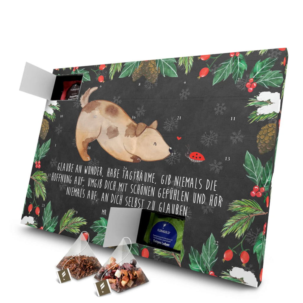  Dog ladybug dog breed, hound, bag with dog print, mutt, what do you give a dog lover, dog mama, Christmas gifts for dogs, dog decorative items, funny gifts for dog owners, dog sayings, love dogs, woof, love for dogs, gifts for dogs, Ladybird, Dog slogan, Mongrel, Dogs, Mongrel dog, Sayings