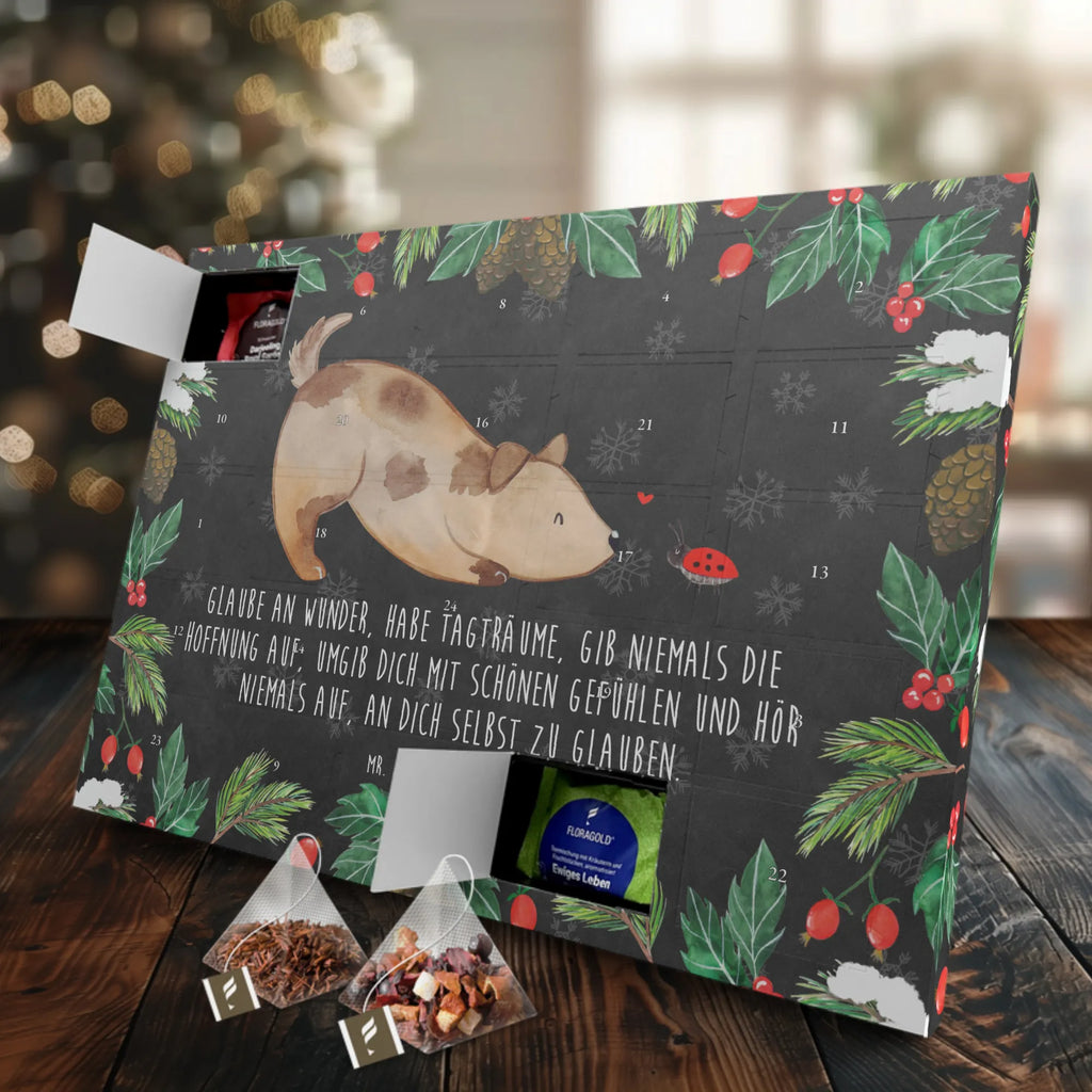  Dog ladybug dog breed, hound, bag with dog print, mutt, what do you give a dog lover, dog mama, Christmas gifts for dogs, dog decorative items, funny gifts for dog owners, dog sayings, love dogs, woof, love for dogs, gifts for dogs, Ladybird, Dog slogan, Mongrel, Dogs, Mongrel dog, Sayings