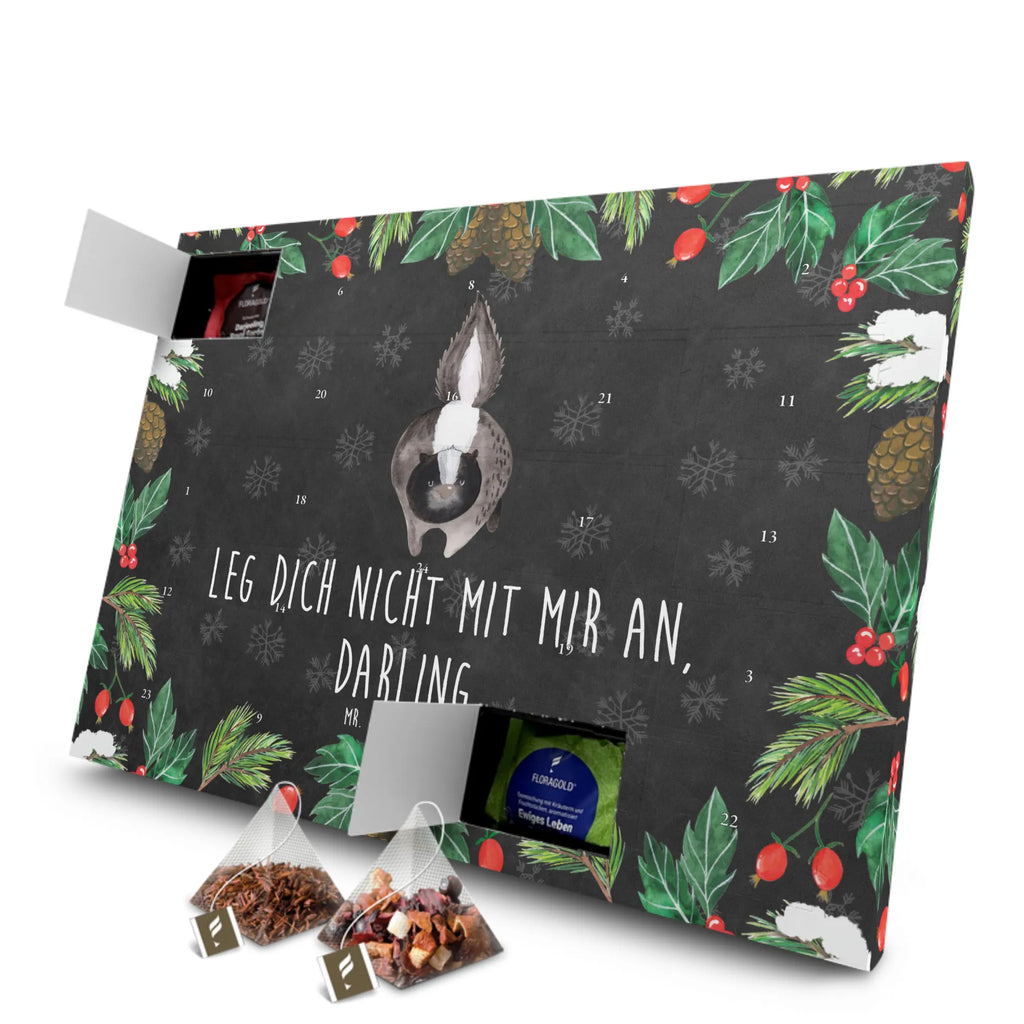 Tee Adventskalender Stinktier Angriff Adventskalender, Adventskalender mit Tee, Tee Adventskalender, Stinktier, Skunk, Drohung, wütend, Stinker, Raubtier, Wildtier, Stinki