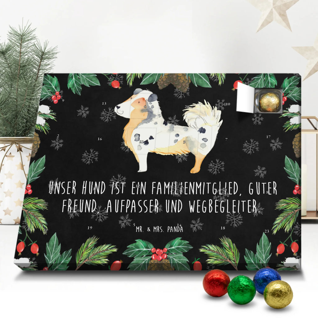 Chocolate advent calendar Dog Australia Shepherd mutt, dog sayings, love dogs, dog mama, funny gifts for dog owners, woof, what do you give a dog lover, dog breed, Christmas gifts for dogs, gifts for dogs, bag with dog print, love for dogs, hound, dog decorative items, Dog love, Australia Shepherd, Family dog, Saying, Sayings