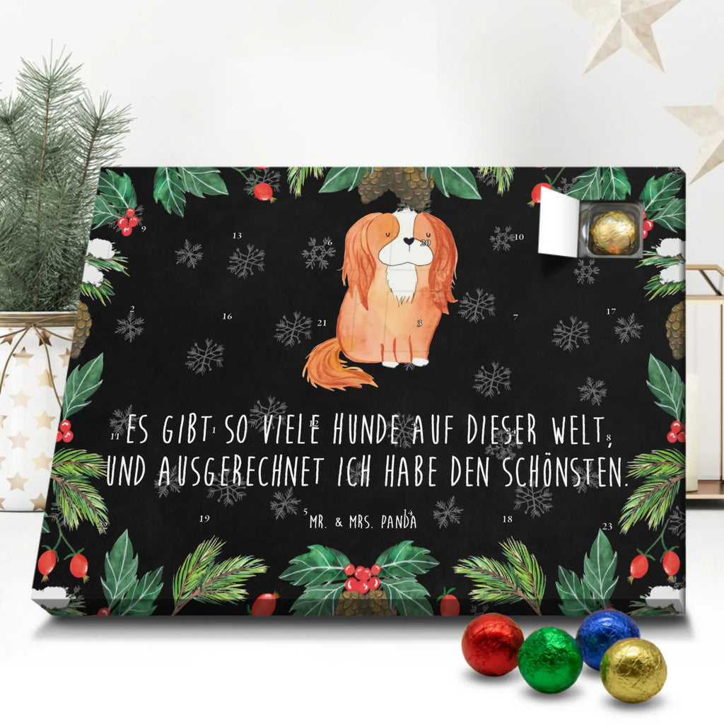 süßigkeiten adventskalender Hund Cavalier King Charles Spaniel Schokoladen-Adventskalender, kalender schokolade, süßigkeiten adventskalender, Weihnachtskalender, Schoko-Adventskalender, pralinen adventskalender, süßigkeiten kalender, Weihnachtskalender Schokolade, Schokoladen Adventskalender, adventskalender schoko, schoko kalender, Schokoladen-Weihnachtskalender, Weihnachts Kalender, schokoladenkalender, schokoladen kalender, adventskalender süßigkeiten, adventskalender pralinen, schokolade adventskalender, Adventskalender Schokolade, kalender weihnachten, Weihnachten Adventskalender, weihnachtskalender schoko, Adventskalender, schoko weihnachtskalender, schokokalender, Schoko Adventskalender, Tierliebhaber, Hundebesitzer, Hunderasse, Haustier, Hund, Sprüche, Hundemotiv, Spaniel, Spruch, Cavalier King Charles Spaniel, Cockerspaniel, Schönster Hund