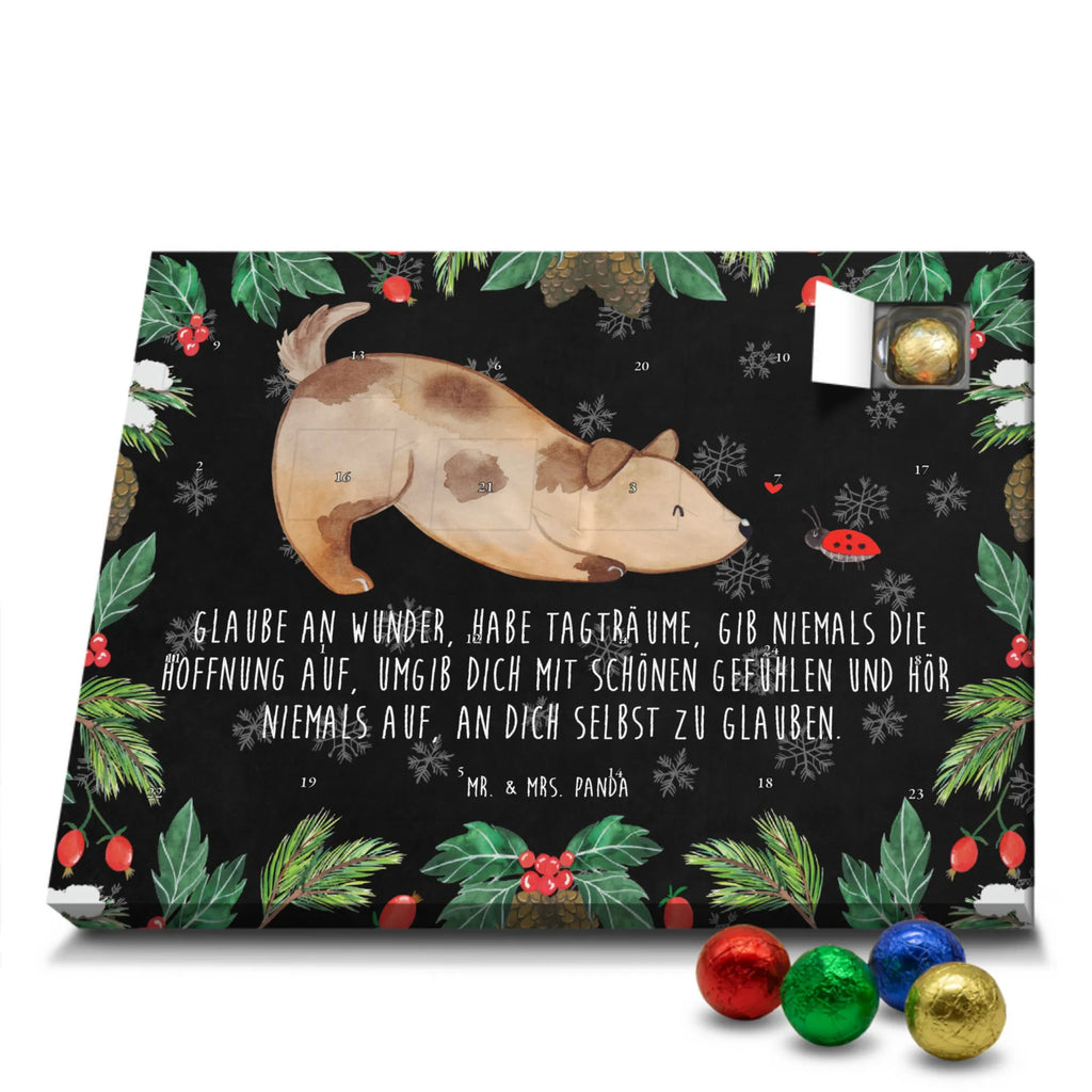 Chocolate advent calendar Dog ladybug mutt, dog sayings, love dogs, dog mama, funny gifts for dog owners, woof, what do you give a dog lover, dog breed, Christmas gifts for dogs, gifts for dogs, bag with dog print, love for dogs, hound, dog decorative items, Mongrel dog, Dog slogan, Ladybird, Sayings, Mongrel, Dogs