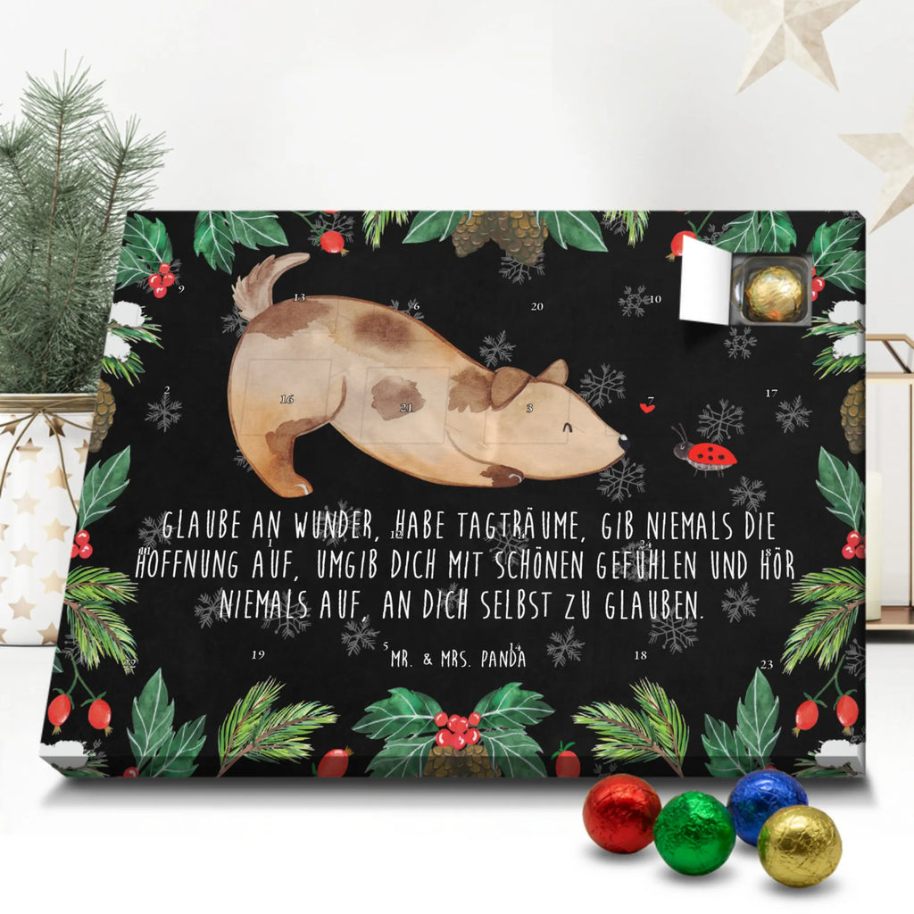 Chocolate advent calendar Dog ladybug mutt, dog sayings, love dogs, dog mama, funny gifts for dog owners, woof, what do you give a dog lover, dog breed, Christmas gifts for dogs, gifts for dogs, bag with dog print, love for dogs, hound, dog decorative items, Mongrel dog, Dog slogan, Ladybird, Sayings, Mongrel, Dogs
