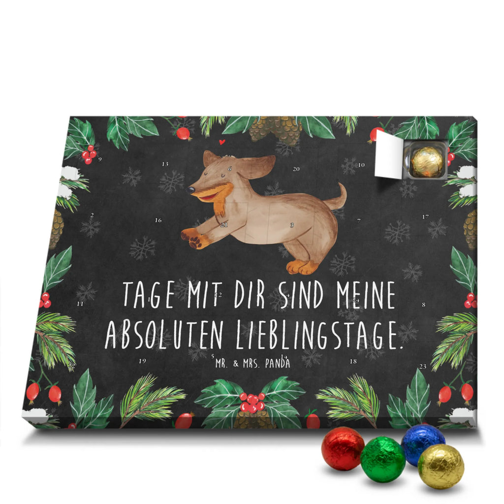  pies Jamnik rasa psa, właściciel psa, miłośnik zwierząt, motyw psa, Pies, powiedzenia, zwierzę domowe