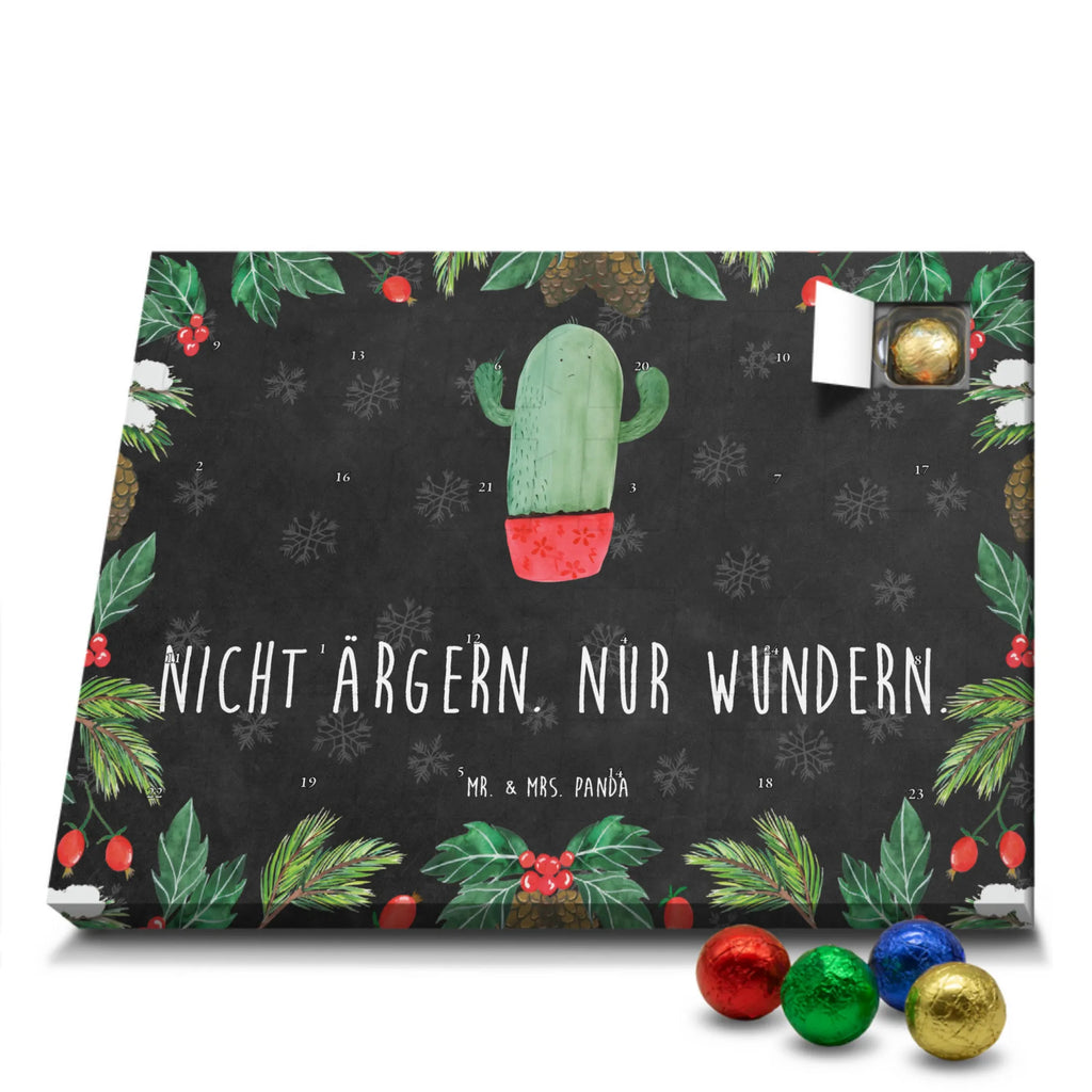Chocolate advent calendar cactus Fury cactus, cactuses, plants, small green cactus, cactus plant, colleague, angry, annoy, office life, school