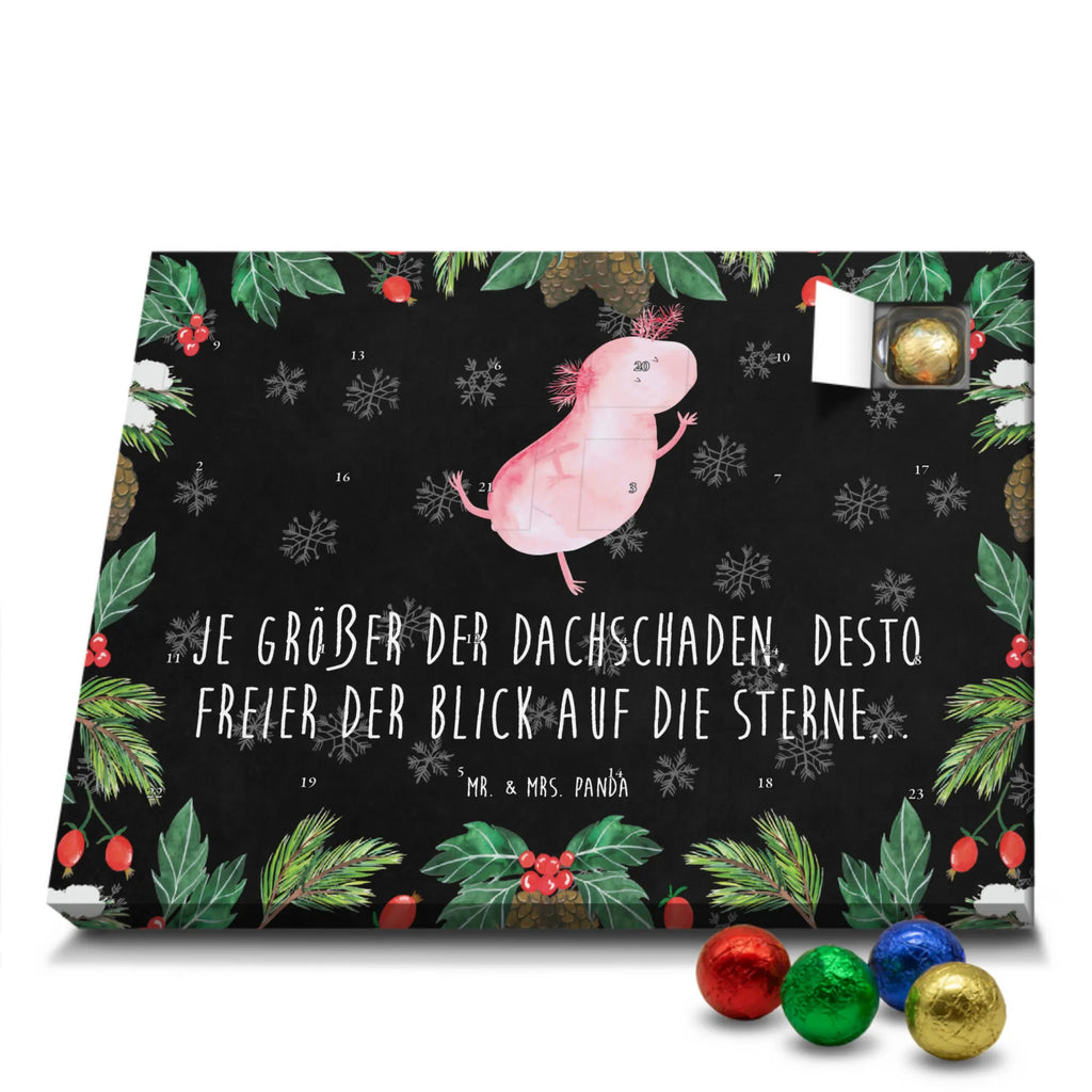 Chocolate advent calendar axolotl Dance Mexican walking fish, Axelotl, marine animals, salamander, stars, roof damage, tailfish, best friend, amphibians, girlfriend