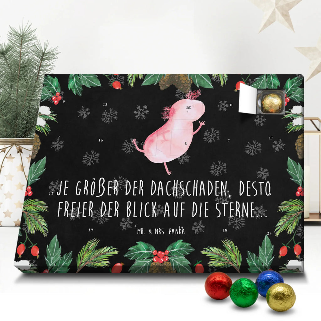 Chocolate advent calendar axolotl Dance Mexican walking fish, Axelotl, marine animals, salamander, stars, roof damage, tailfish, best friend, amphibians, girlfriend