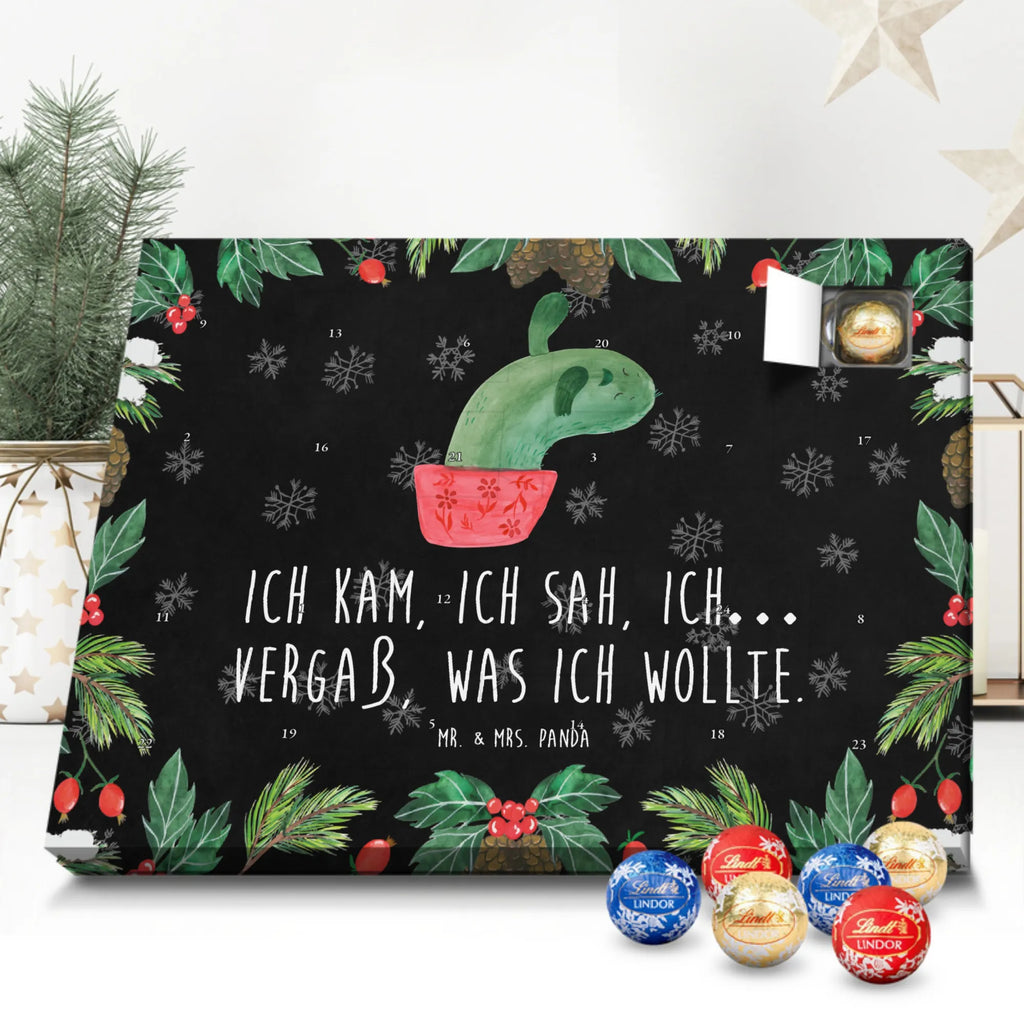 Chocolate advent calendar cactus mummy cactus, cactuses, plants, small green cactus, cactus plant, cactus love, cacti, office life, school, quota, annoyance