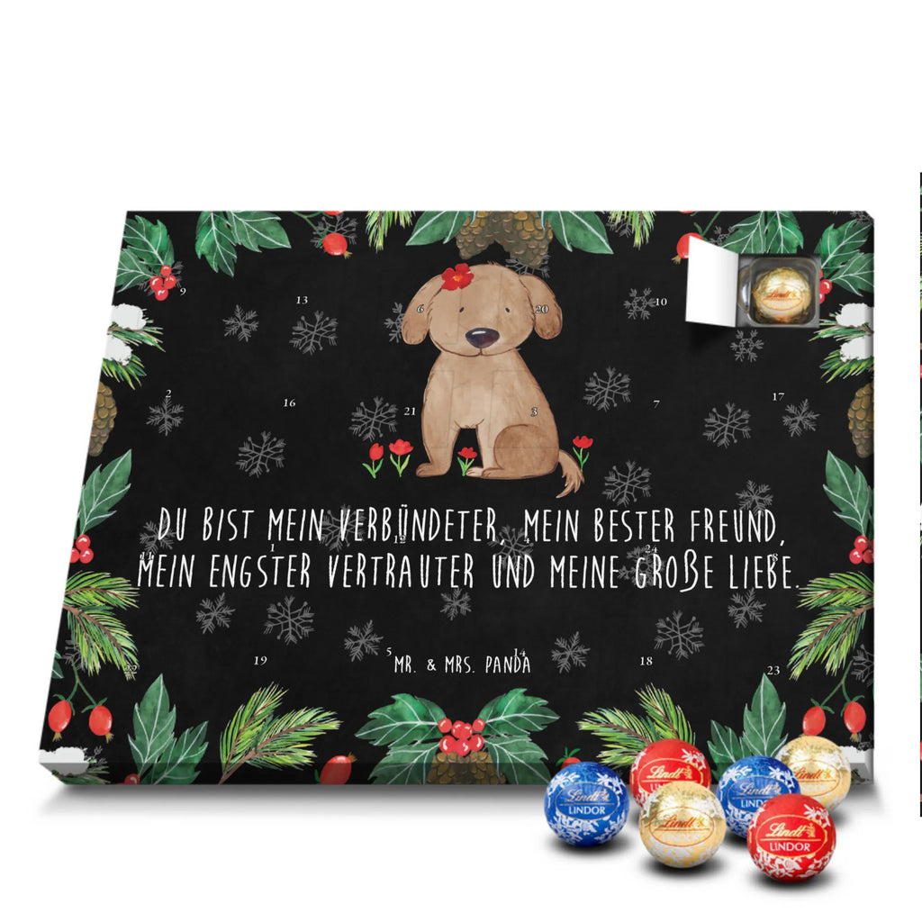 adventskalender süßigkeiten Hund Dame schoko kalender, schokoladen kalender, kalender schokolade, pralinen adventskalender, adventskalender süßigkeiten, Weihnachtskalender, adventskalender schoko, schokolade adventskalender, Schoko Adventskalender, Schokoladen-Adventskalender, süßigkeiten kalender, adventskalender pralinen, Weihnachts Kalender, schokoladenkalender, Schokoladen-Weihnachtskalender, Schoko-Adventskalender, süßigkeiten adventskalender, Adventskalender Schokolade, Weihnachtskalender Schokolade, weihnachtskalender schoko, Schokoladen Adventskalender, Weihnachten Adventskalender, Adventskalender, kalender weihnachten, schokokalender, schoko weihnachtskalender, Tierliebhaber, Hundebesitzer, Hunderasse, Haustier, Hund, Sprüche, Hundemotiv, Liebe, Hundeglück, Hunde, Hundeliebe, Frauchen