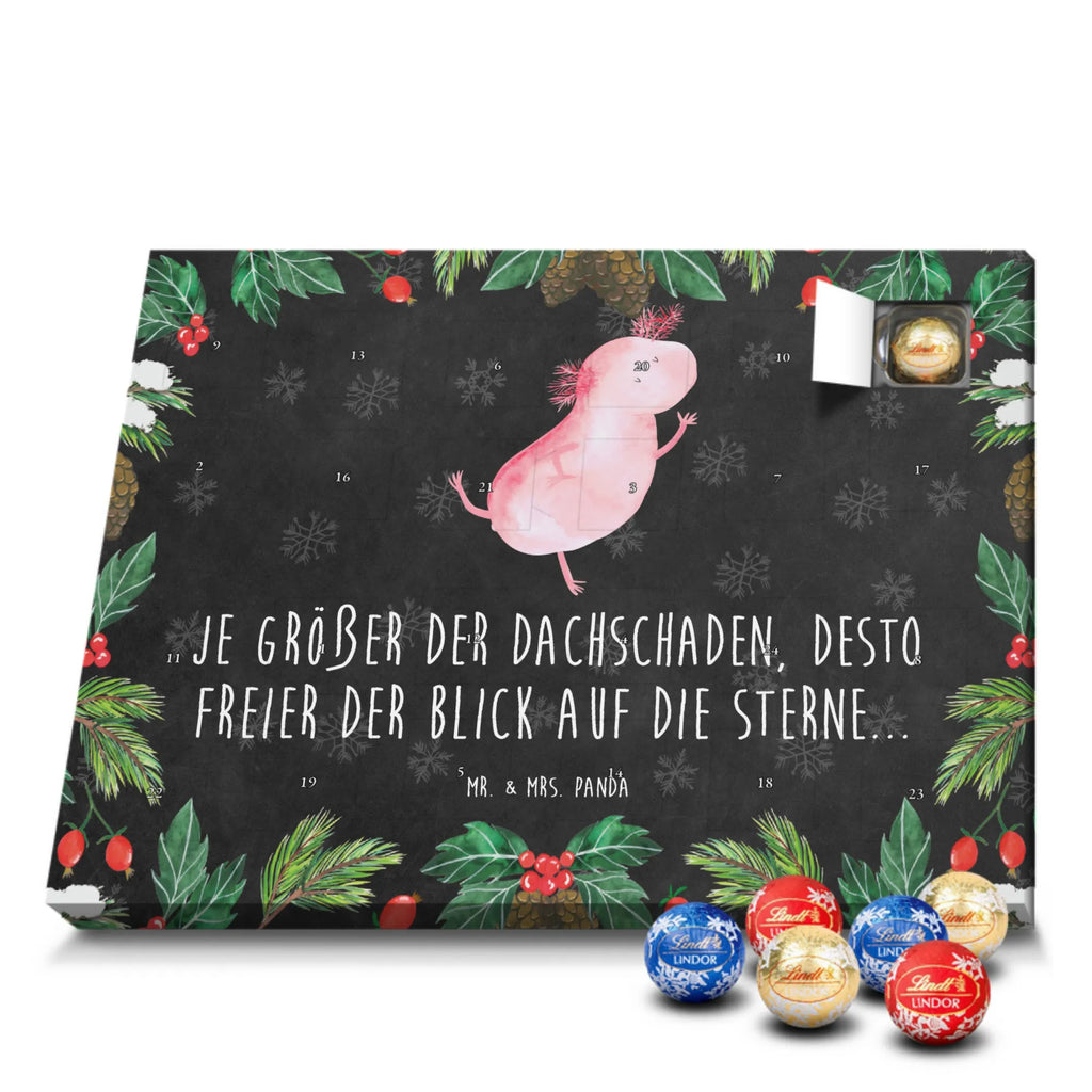 Chocolate advent calendar axolotl Dance Mexican walking fish, Axelotl, marine animals, salamander, stars, roof damage, tailfish, best friend, amphibians, girlfriend