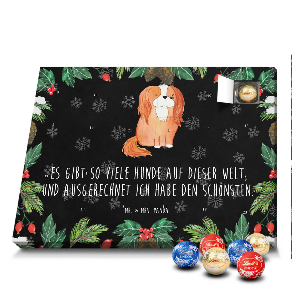 süßigkeiten adventskalender Hund Cavalier King Charles Spaniel Schokoladen-Adventskalender, kalender schokolade, süßigkeiten adventskalender, Weihnachtskalender, Schoko-Adventskalender, pralinen adventskalender, süßigkeiten kalender, Weihnachtskalender Schokolade, Schokoladen Adventskalender, adventskalender schoko, schoko kalender, Schokoladen-Weihnachtskalender, Weihnachts Kalender, schokoladenkalender, schokoladen kalender, adventskalender süßigkeiten, adventskalender pralinen, schokolade adventskalender, Adventskalender Schokolade, kalender weihnachten, Weihnachten Adventskalender, weihnachtskalender schoko, Adventskalender, schoko weihnachtskalender, schokokalender, Schoko Adventskalender, Tierliebhaber, Hundebesitzer, Hunderasse, Haustier, Hund, Sprüche, Hundemotiv, Spaniel, Spruch, Cavalier King Charles Spaniel, Cockerspaniel, Schönster Hund