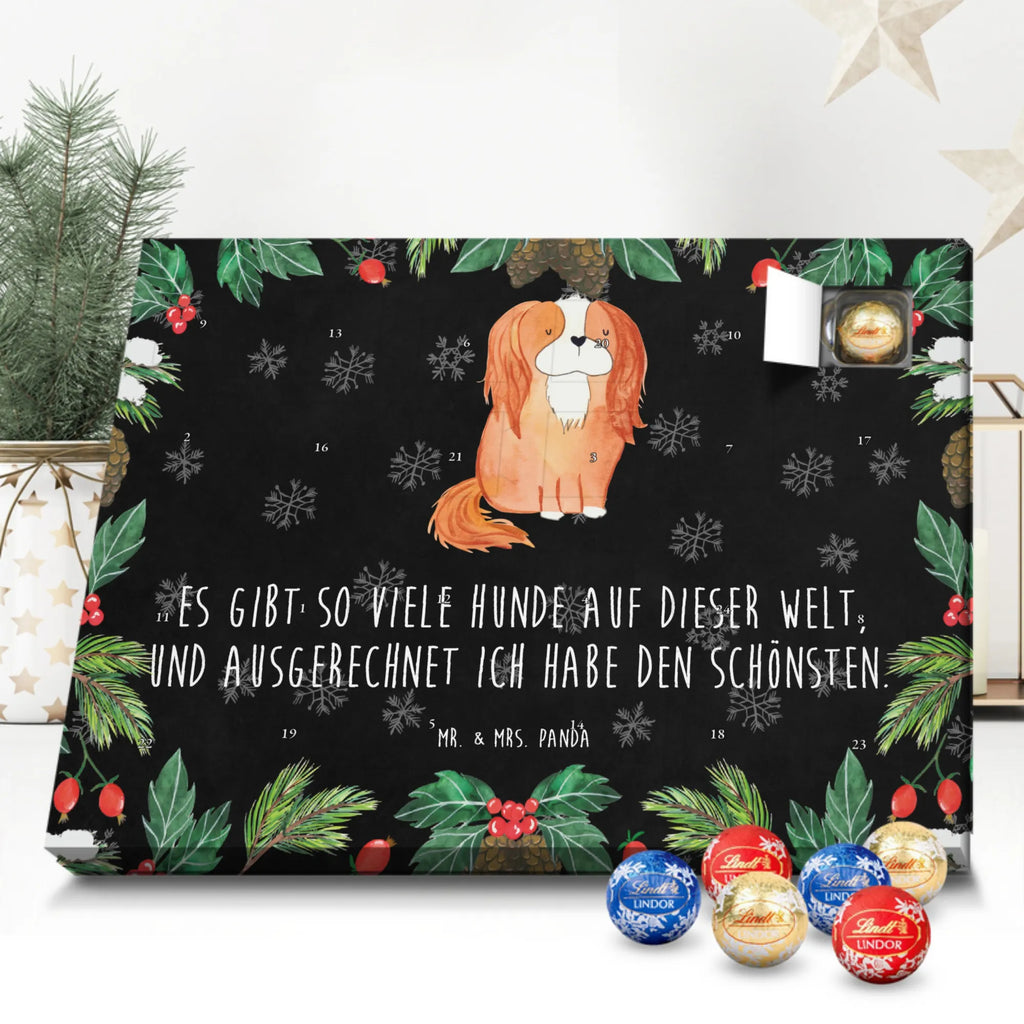 süßigkeiten adventskalender Hund Cavalier King Charles Spaniel Schokoladen-Adventskalender, kalender schokolade, süßigkeiten adventskalender, Weihnachtskalender, Schoko-Adventskalender, pralinen adventskalender, süßigkeiten kalender, Weihnachtskalender Schokolade, Schokoladen Adventskalender, adventskalender schoko, schoko kalender, Schokoladen-Weihnachtskalender, Weihnachts Kalender, schokoladenkalender, schokoladen kalender, adventskalender süßigkeiten, adventskalender pralinen, schokolade adventskalender, Adventskalender Schokolade, kalender weihnachten, Weihnachten Adventskalender, weihnachtskalender schoko, Adventskalender, schoko weihnachtskalender, schokokalender, Schoko Adventskalender, Tierliebhaber, Hundebesitzer, Hunderasse, Haustier, Hund, Sprüche, Hundemotiv, Spaniel, Spruch, Cavalier King Charles Spaniel, Cockerspaniel, Schönster Hund