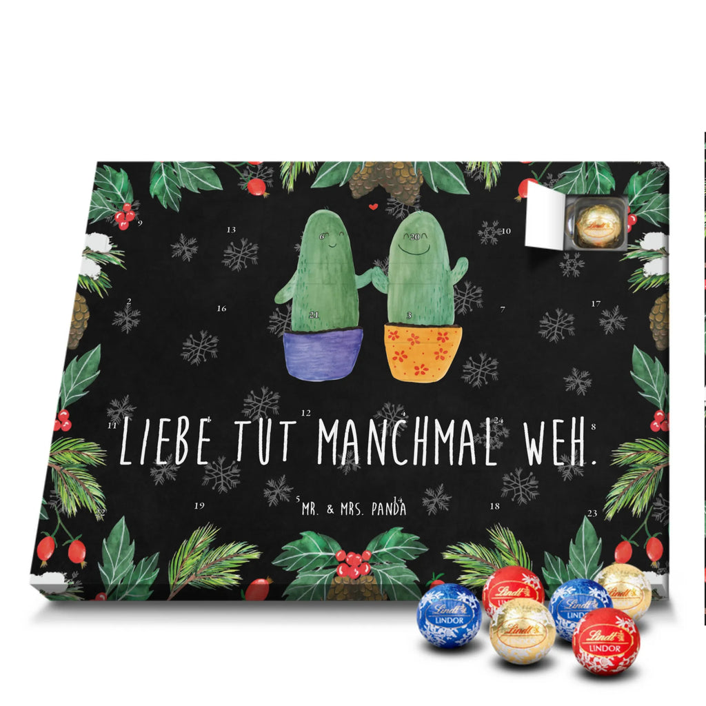 Chocolate advent calendar cactus Love cactus, cactuses, plants, small green cactus, cactus plant, couple, friendship, reconciliation, cactus love, proof of love, quarrel, love message, separation, wedding