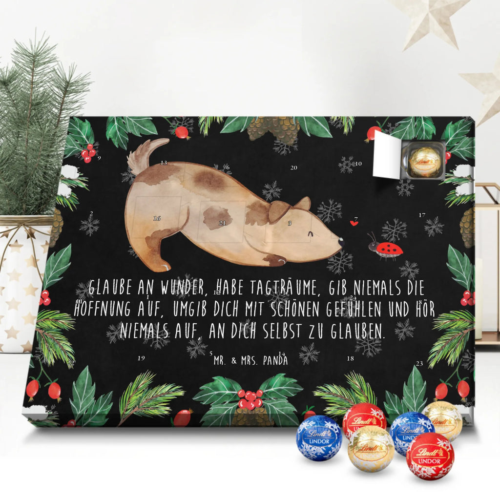 Chocolate advent calendar Dog ladybug mutt, dog sayings, love dogs, dog mama, funny gifts for dog owners, woof, what do you give a dog lover, dog breed, Christmas gifts for dogs, gifts for dogs, bag with dog print, love for dogs, hound, dog decorative items, Mongrel dog, Dog slogan, Ladybird, Sayings, Mongrel, Dogs