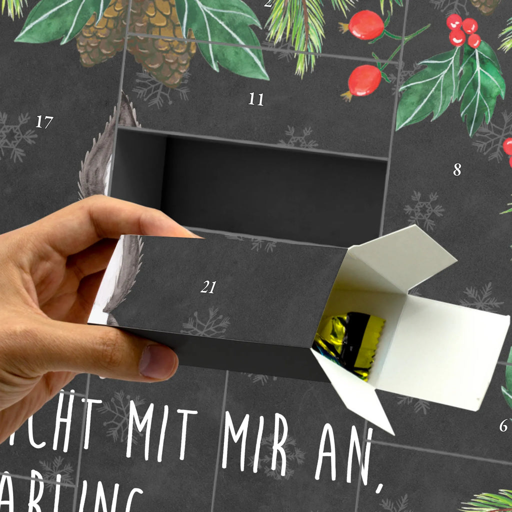  skunks atak Stinktier, Skunk