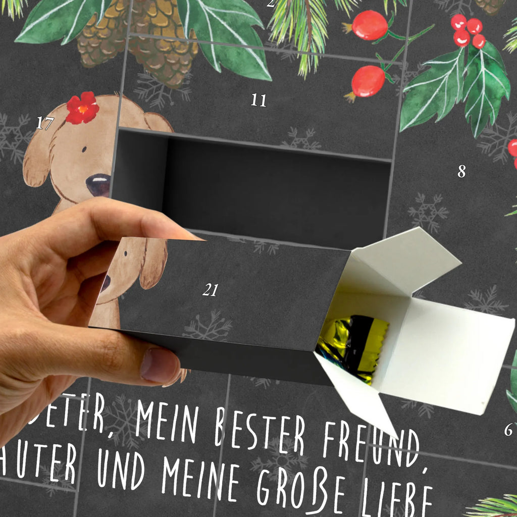  pies Dama Pies, właściciel psa, rasa psa, miłośnik zwierząt, zwierzę domowe, motyw psa, powiedzenia