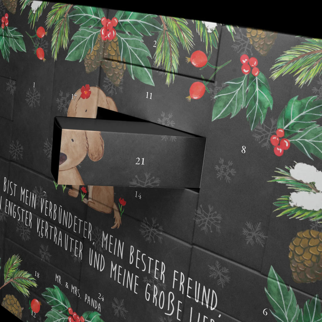  pies Dama Pies, właściciel psa, rasa psa, miłośnik zwierząt, zwierzę domowe, motyw psa, powiedzenia