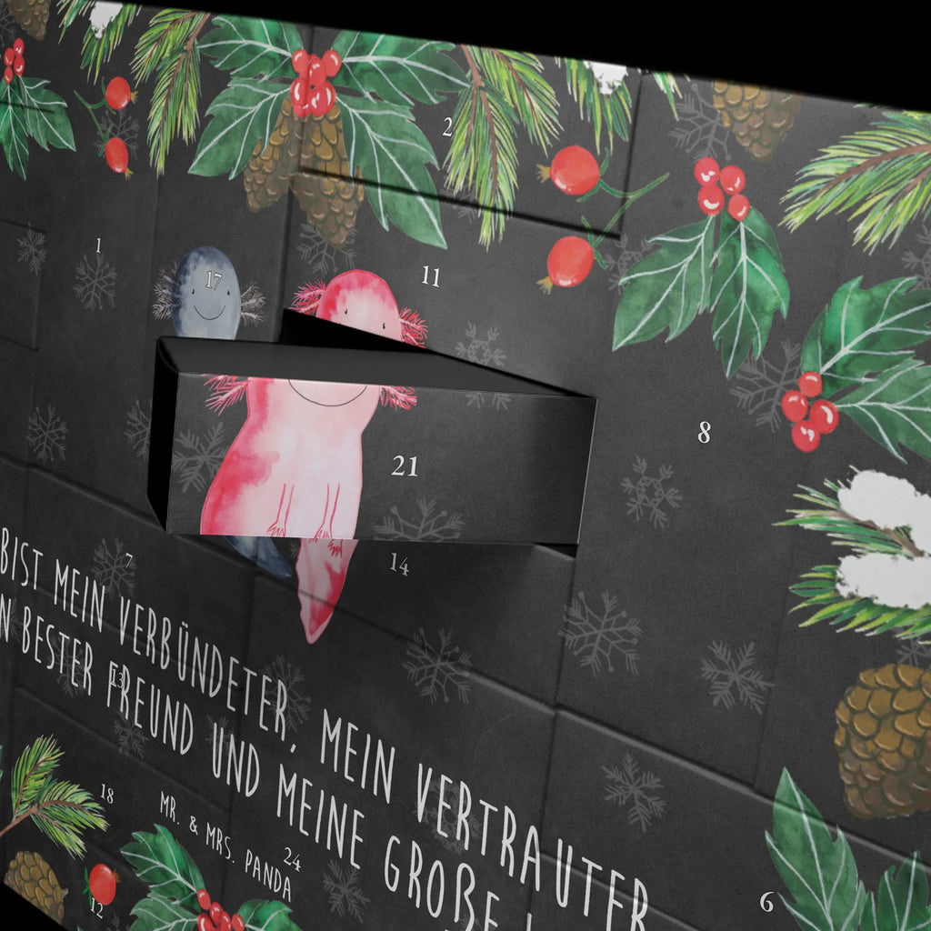 Fillable advent calendar axolotl Girlfriend salamander, Axelotl, marine animals, Mexican walking fish, proof of love, anniversary, friend, tail, amphibian, valentine's day, fiancé, great love, husband