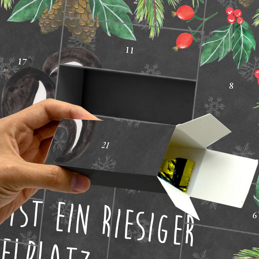 Fillable advent calendar skunk handstand playful, wild animal, predator, playground, child, stink