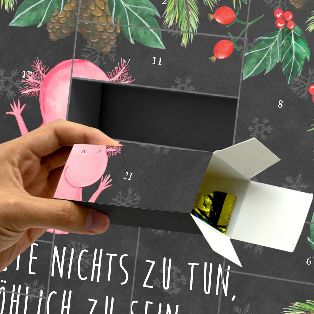  Axolotl Hurra Axolotl, Molch