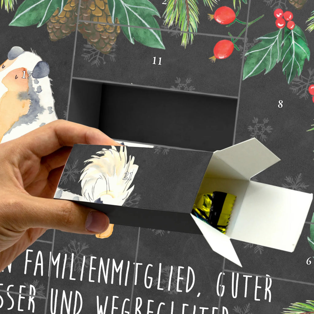  Pies Owczarek australijski Pies, właściciel psa, rasa psa, miłośnik zwierząt, zwierzę domowe, motyw psa, powiedzenia