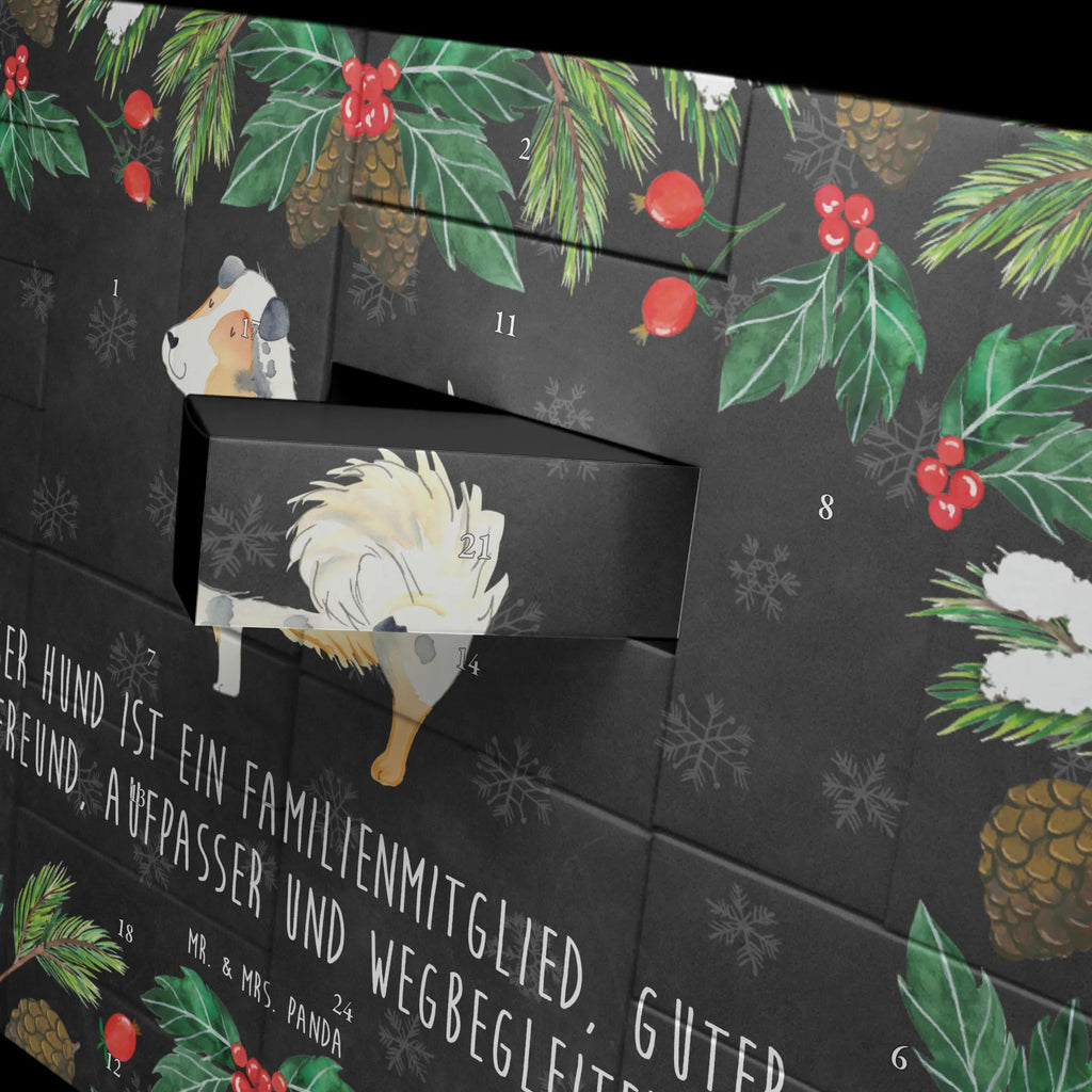  Pies Owczarek australijski Pies, właściciel psa, rasa psa, miłośnik zwierząt, zwierzę domowe, motyw psa, powiedzenia