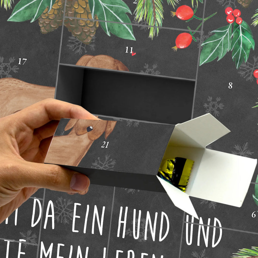 Weihnachtskalender Hund Dogge Geschenke Adventskalender, Weihnachtskalender Selbst Befüllen, Diy Adventskalender, Erwachsenen Adventskalender, Adventskalender Zum Füllen, Adventskalender für Erwachsene, Adventskalender Box, Bastel Adventskalender, Adventskalender mit 24 Schachteln, Adventskalender Zum Befüllen, Kalender Zum Befüllen, Karton Adventskalender, Tisch Adventskalender, Adventskalender Zum Selbst Befüllen, Adventskalender Boxen, Weihnachtskalender Schachteln, Adventskalender, Adventskalender Deko, Geschenkekalender, Befüllbarer Adventskalender, Adventskalender Schachteln, Adventskalender Karton, Adventskalender 24 Boxen, Leerer Adventskalender, Schachtel Adventskalender, Adventskalender Schachtel, Adventskalender Zum Aufstellen, Weihnachtskalender Boxen, Adventskalender leer, Adventskalender Selbst Befüllen, Weihnachtskalender Zum Befüllen, Adventskalender ohne Inhalt, Weihnachtskalender, Hunderasse, Tierliebhaber, Hundemotiv, Haustier, Hundebesitzer, Hund, Sprüche, Dogge, Deutsche Dogge, Great Dane, Hunde