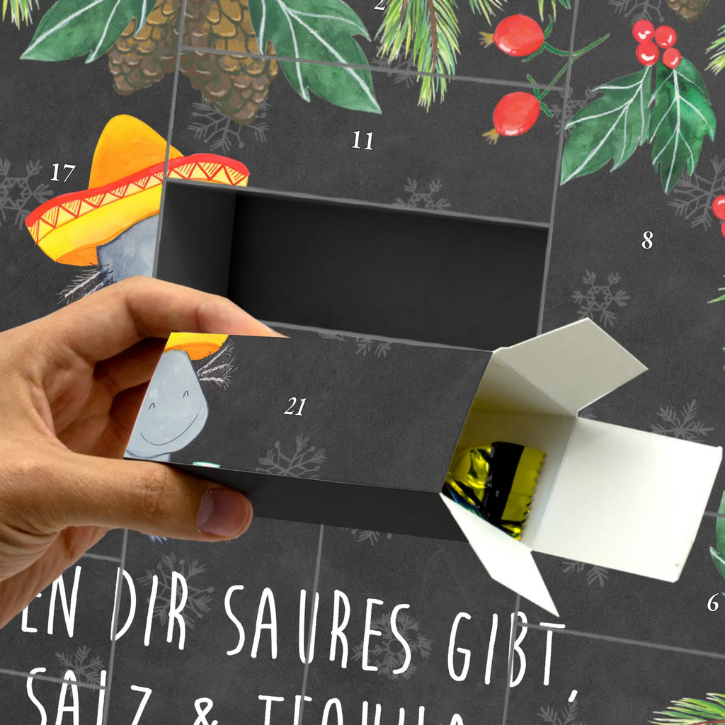 Fillable advent calendar axolotl tequila salamander, Axelotl, marine animals, Mexican walking fish, Amphibian, Lemon, Fire Dragon, Tail Lurch, Fire Salamander, Saying