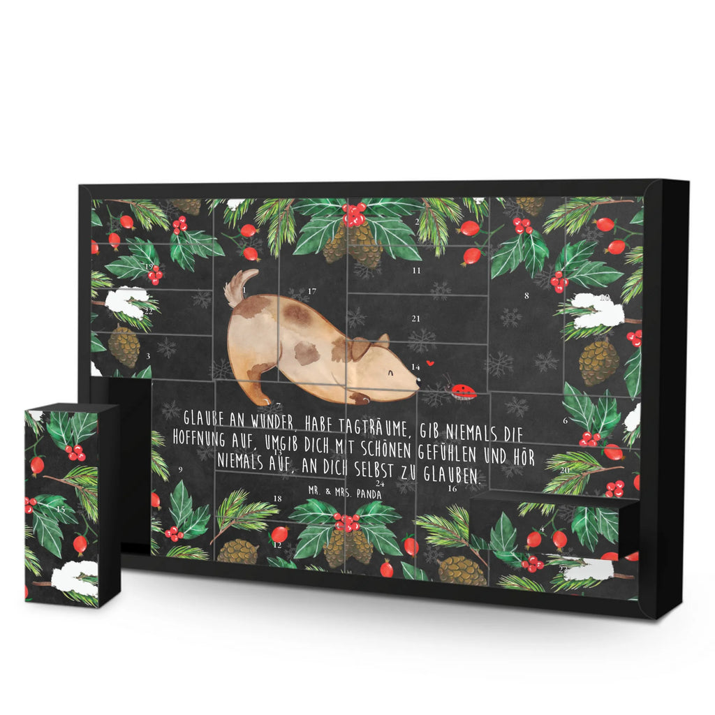 Fillable advent calendar Dog ladybug dog breed, hound, bag with dog print, mutt, what do you give a dog lover, dog mama, Christmas gifts for dogs, dog decorative items, funny gifts for dog owners, dog sayings, love dogs, woof, love for dogs, gifts for dogs, Dogs, Mongrel, Mongrel dog, Sayings, Ladybird, Dog slogan