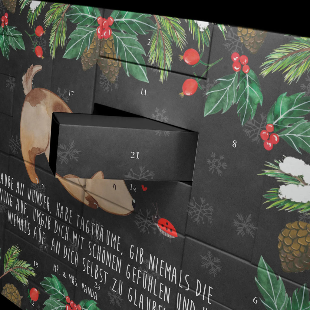 Fillable advent calendar Dog ladybug dog breed, hound, bag with dog print, mutt, what do you give a dog lover, dog mama, Christmas gifts for dogs, dog decorative items, funny gifts for dog owners, dog sayings, love dogs, woof, love for dogs, gifts for dogs, Dogs, Mongrel, Mongrel dog, Sayings, Ladybird, Dog slogan