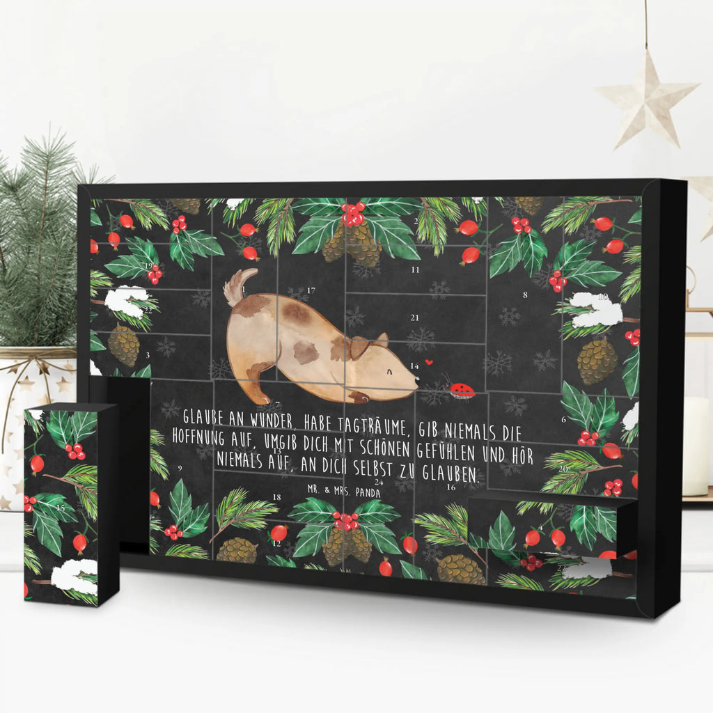 Fillable advent calendar Dog ladybug dog breed, hound, bag with dog print, mutt, what do you give a dog lover, dog mama, Christmas gifts for dogs, dog decorative items, funny gifts for dog owners, dog sayings, love dogs, woof, love for dogs, gifts for dogs, Dogs, Mongrel, Mongrel dog, Sayings, Ladybird, Dog slogan