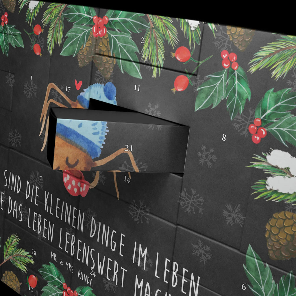 Fillable advent calendar Spider Agathe coffee Spider Agathe, Spider