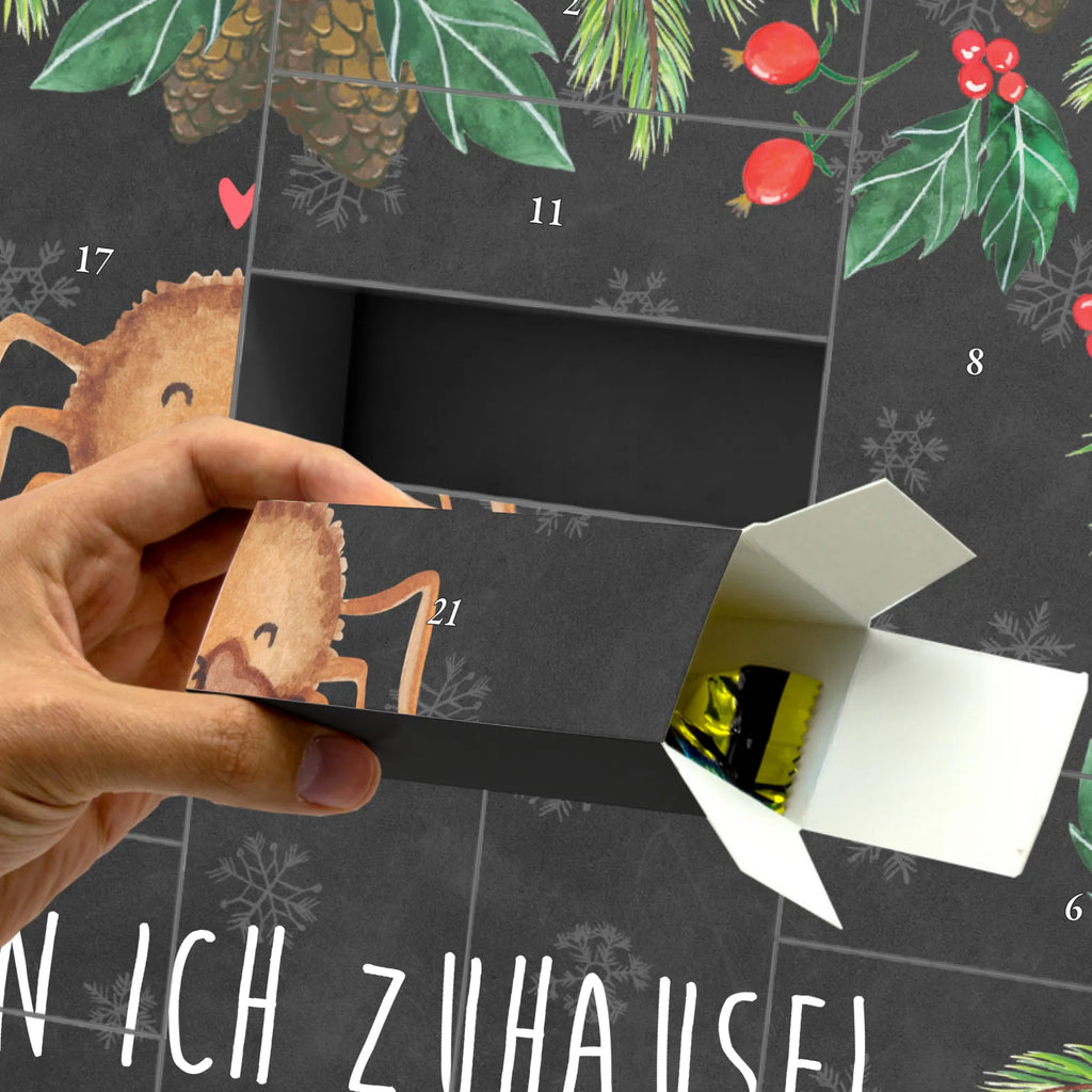  Pająk Agata Miś Filmy, Towary, Pająk, Pająk Agathe