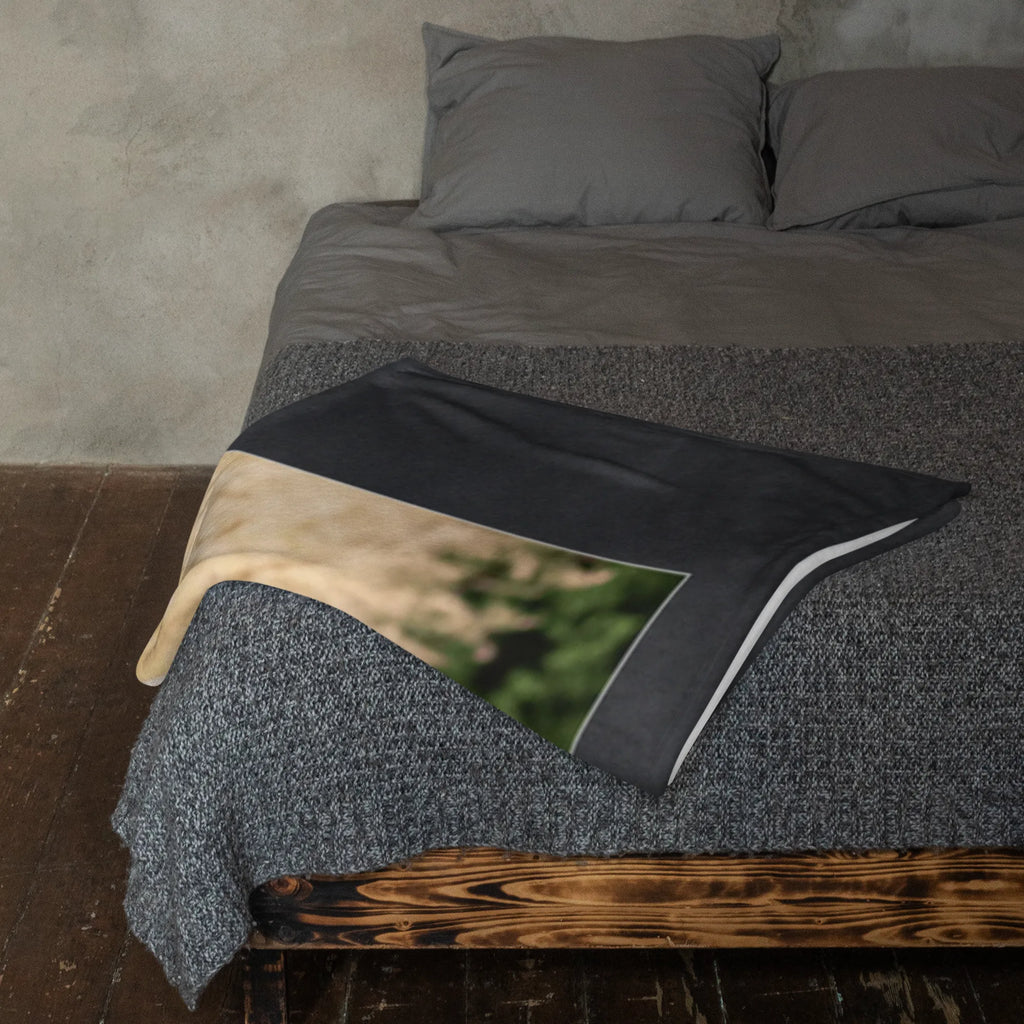 Personalized Photo Blanket penguins Fall asleep Personalisierte Foto Decke, Liebe, Partner, Freund, Freundin, Ehemann, Ehefrau, Heiraten, Verlobung, Heiratsantrag, Liebesgeschenk, Jahrestag, Hocheitstag, Liebesbeweis, für Ehemann, für Männer, Geschenk für Frauen, Valentinstag, Mitbringsel, Geschenk für Partner, Geschenk für Freundin, Hochzeitstag