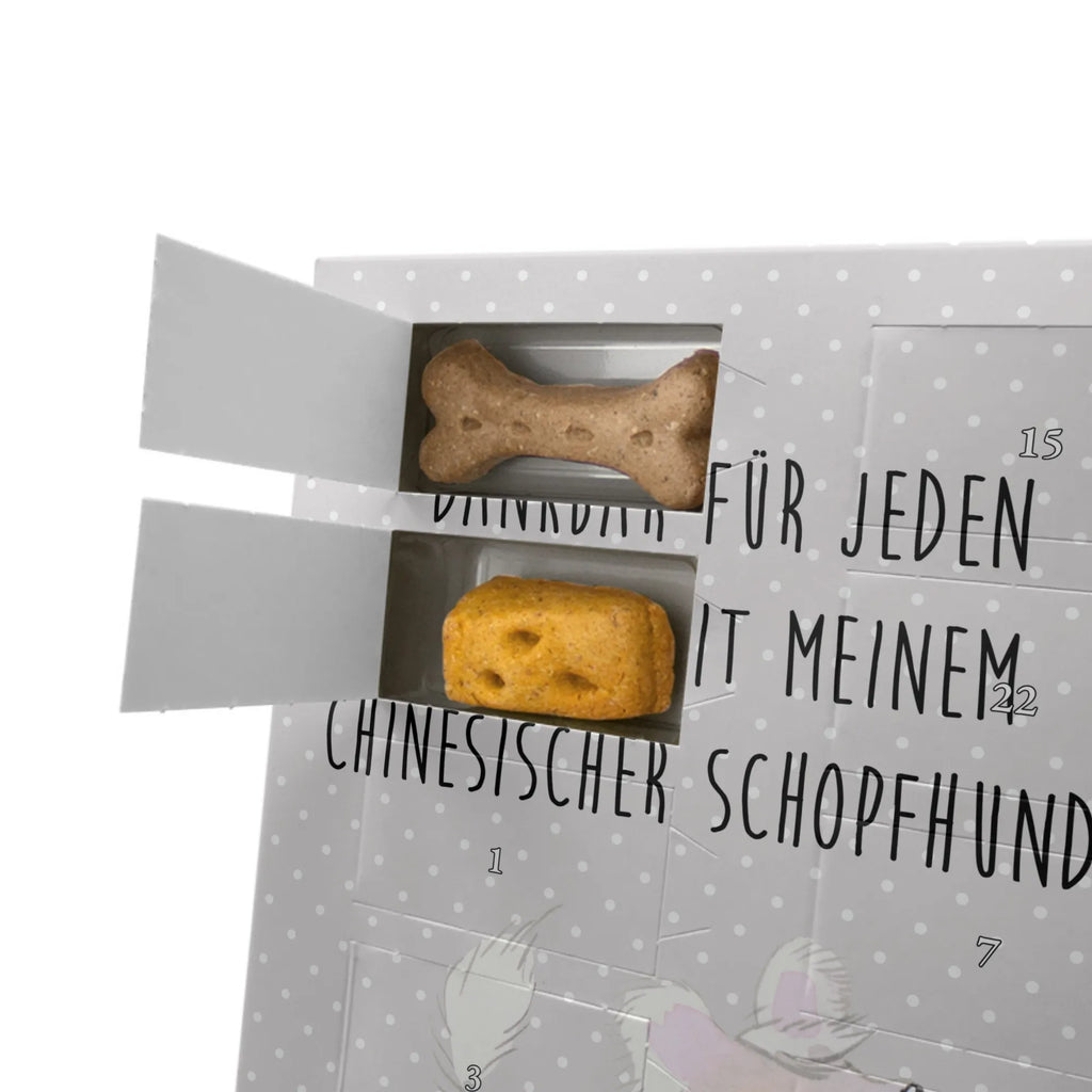 Personalisierter Hunde Foto Adventskalender Chinesischer Schopfhund Moment Personalisierter Hunde Foto Adventskalender, Geschenk, Schenken, Hund, Hunderasse, Rassehund, Hundebesitzer, Tierfreund, Welpe, Chinese Crested Dog, Chinesischer Schopfhund