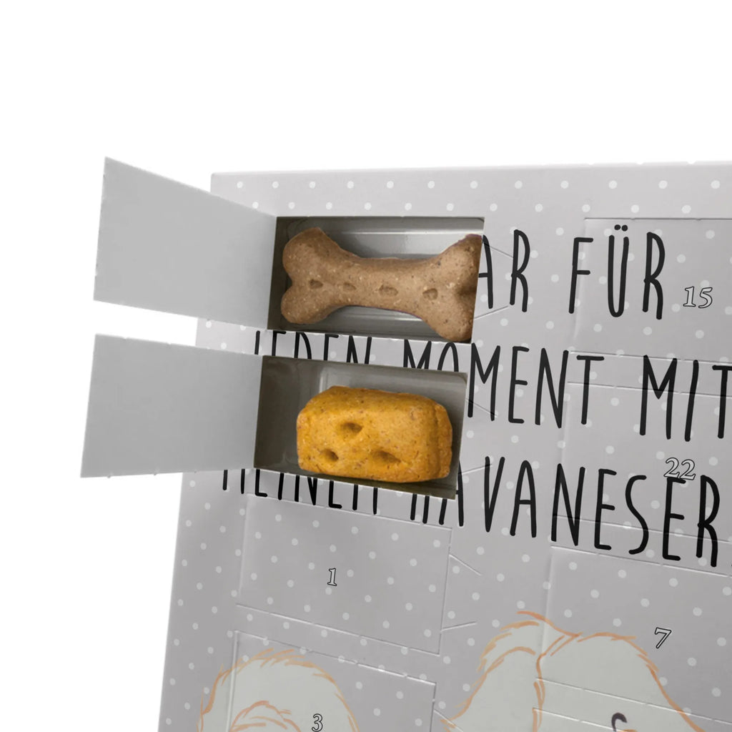 Personalisierter Hunde Foto Adventskalender Havaneser Moment Personalisierter Hunde Foto Adventskalender, Geschenk, Schenken, Hund, Hunderasse, Rassehund, Hundebesitzer, Tierfreund, Welpe, Bichón Habanero, Havaneser, Bichon Havanais, Havi