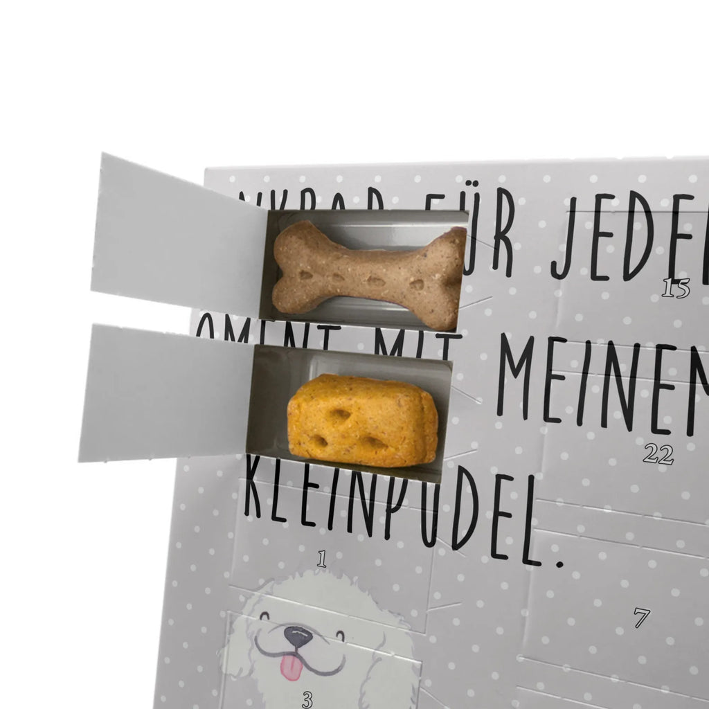 Personalisierter Hunde Foto Adventskalender Kleinpudel Moment Personalisierter Hunde Foto Adventskalender, Geschenk, Schenken, Hund, Hunderasse, Rassehund, Hundebesitzer, Tierfreund, Welpe, Kleinpudel, Pudel
