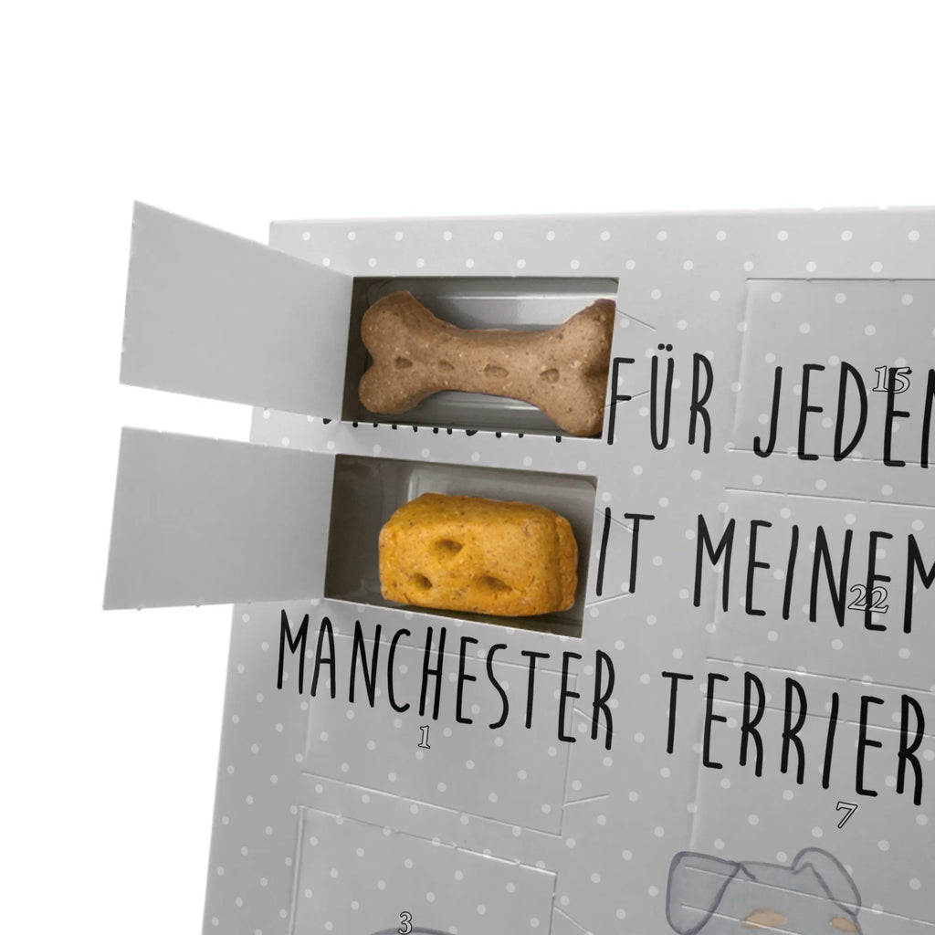  Manchester Terrier chwila Pies, rasa psa, pies rasowy, właściciel psa, prezent, miłośnik zwierząt, dawanie, szczeniak