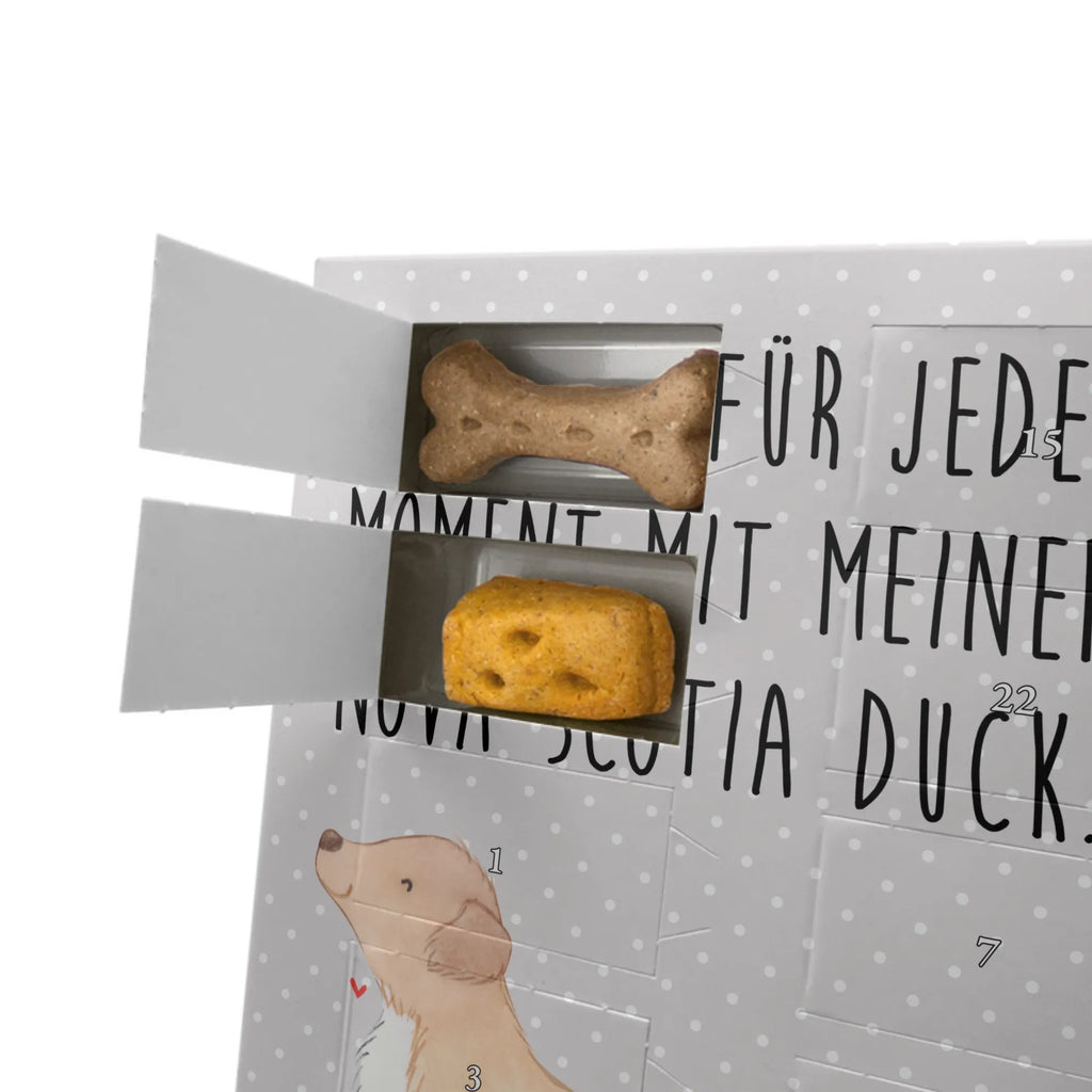 Personalisierter Hunde Foto Adventskalender Nova Scotia Duck Moment Personalisierter Hunde Foto Adventskalender, Geschenk, Schenken, Hund, Hunderasse, Rassehund, Hundebesitzer, Tierfreund, Welpe, Retriever, Nova Scotia Duck Tolling Retriever