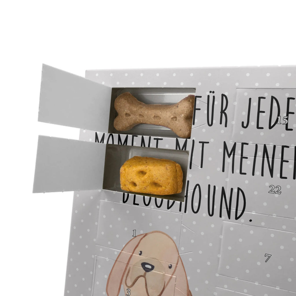 Personalisierter Hunde Foto Adventskalender Bloodhound Moment Personalisierter Hunde Foto Adventskalender, Geschenk, Schenken, Hund, Hunderasse, Rassehund, Hundebesitzer, Tierfreund, Welpe, Bloodhound, Bluthund, Chien De Saint Hubert, St. Hubertushund