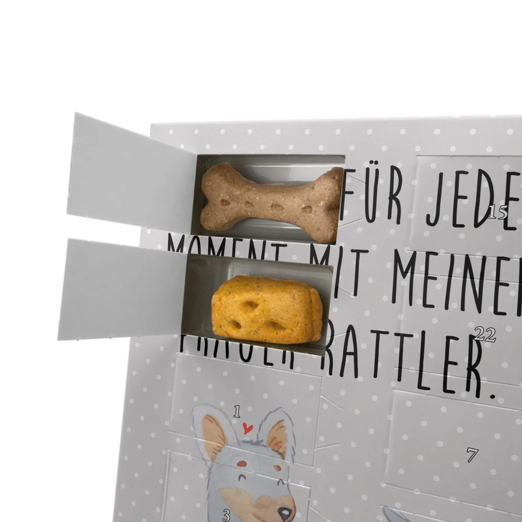 Personalisierter Hunde Foto Adventskalender Prager Rattler Moment Personalisierter Hunde Foto Adventskalender, Geschenk, Schenken, Hund, Hunderasse, Rassehund, Hundebesitzer, Tierfreund, Welpe, Pincher, Prager Rattler